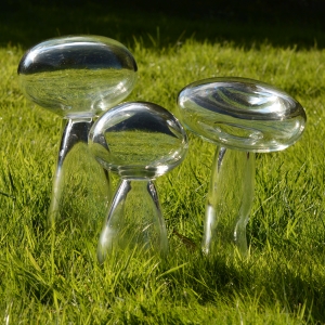 Helen Twigge-Molecey - Fungi clear (Glass)